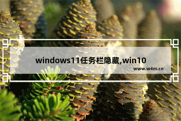 windows11任务栏隐藏,win10完全隐藏任务栏图标