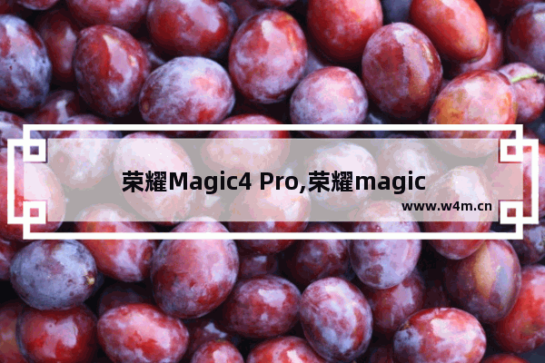 荣耀Magic4 Pro,荣耀magic14和pro的区别