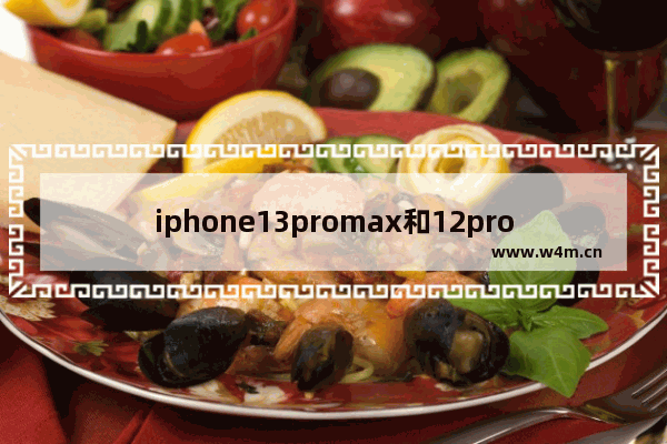 iphone13promax和12promax哪个好,iphone13promax和iphone12promax比较