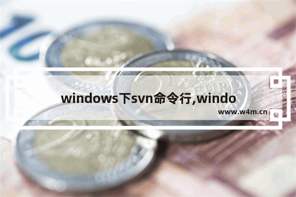 windows下svn命令行,windows下svn怎么启动