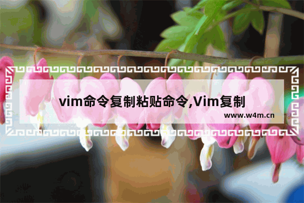 vim命令复制粘贴命令,Vim复制