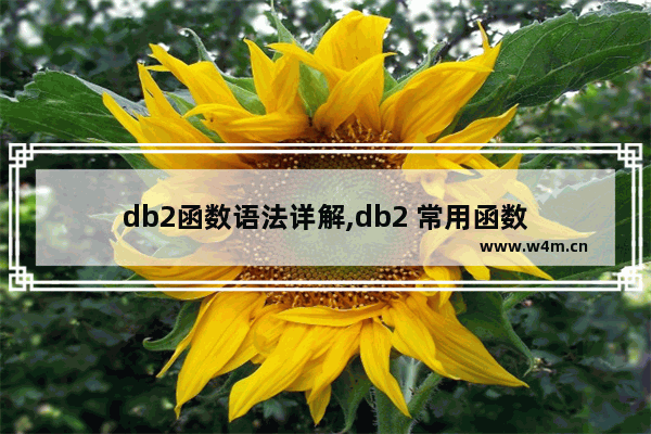 db2函数语法详解,db2 常用函数