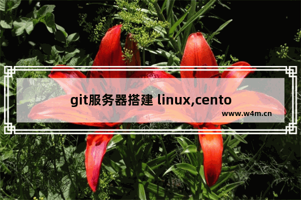 git服务器搭建 linux,centos配置git