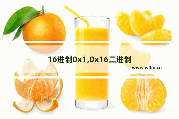 16进制0x1,0x16二进制