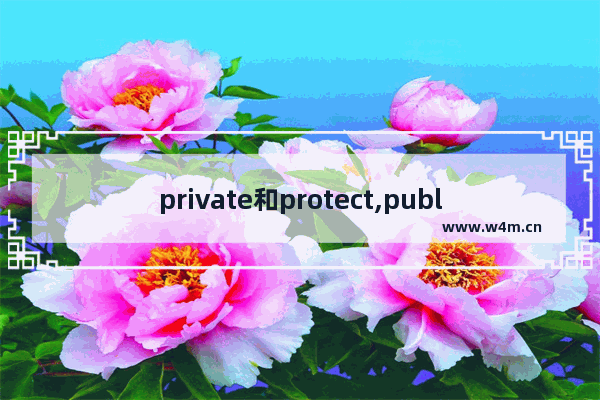 private和protect,public和protect