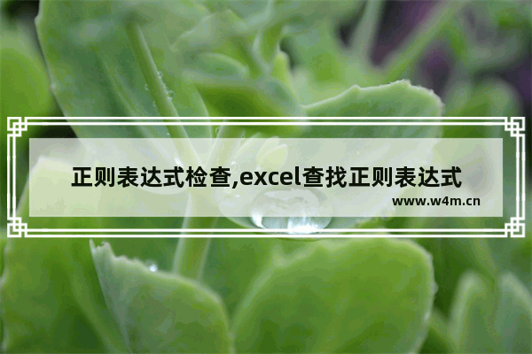 正则表达式检查,excel查找正则表达式