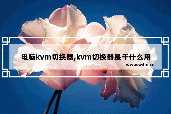 电脑kvm切换器,kvm切换器是干什么用的