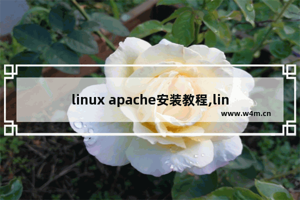 linux apache安装教程,linux apache2