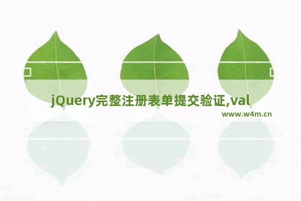 jQuery完整注册表单提交验证,validateform表单验证