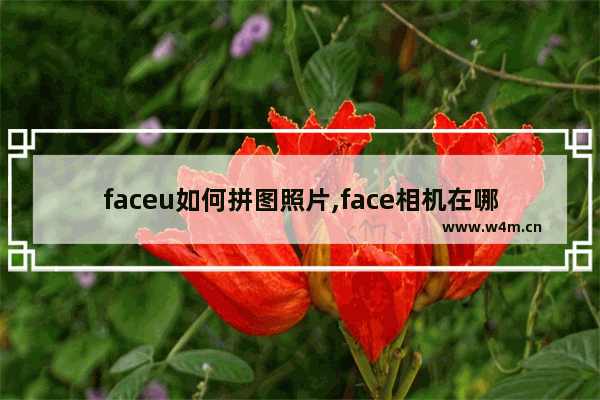 faceu如何拼图照片,face相机在哪里拼图