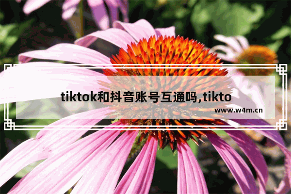 tiktok和抖音账号互通吗,tiktok抖音怎么不可以用