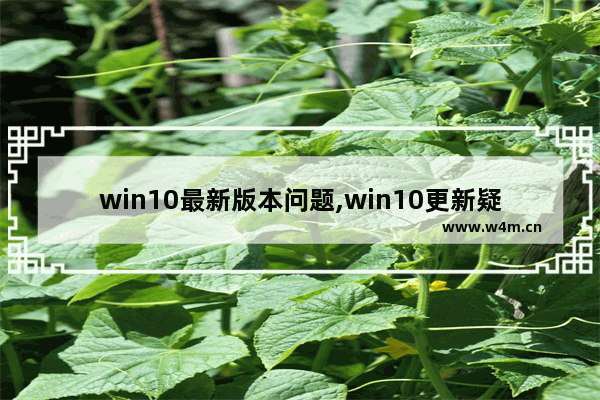 win10最新版本问题,win10更新疑难解答