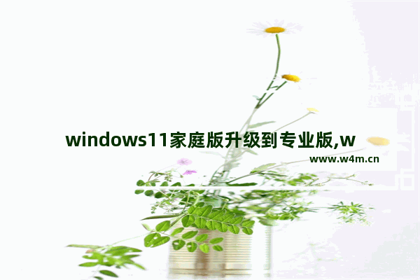 windows11家庭版升级到专业版,windows10家庭版升级win11