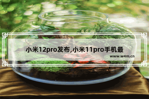 小米12pro发布,小米11pro手机最新消息