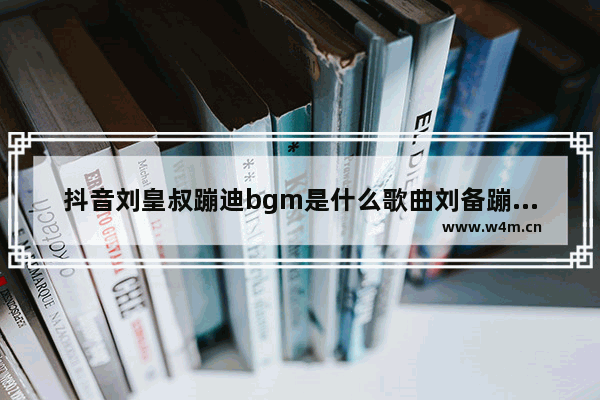 抖音刘皇叔蹦迪bgm是什么歌曲刘备蹦迪背景音乐介绍,抖音蹦迪歌曲bgm