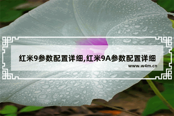 红米9参数配置详细,红米9A参数配置详细参数