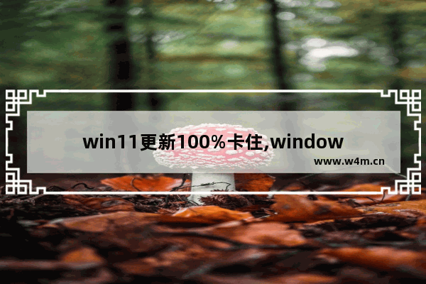 win11更新100%卡住,windows11更新卡在0%