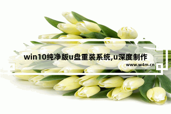 win10纯净版u盘重装系统,u深度制作win10启动盘