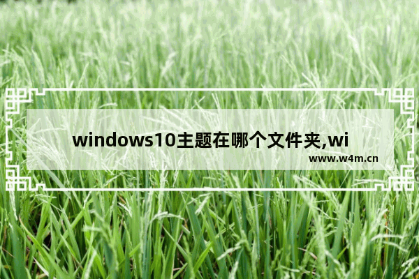 windows10主题在哪个文件夹,windows主题在哪个文件夹