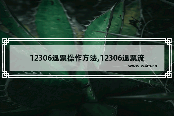 12306退票操作方法,12306退票流程12306退票流程