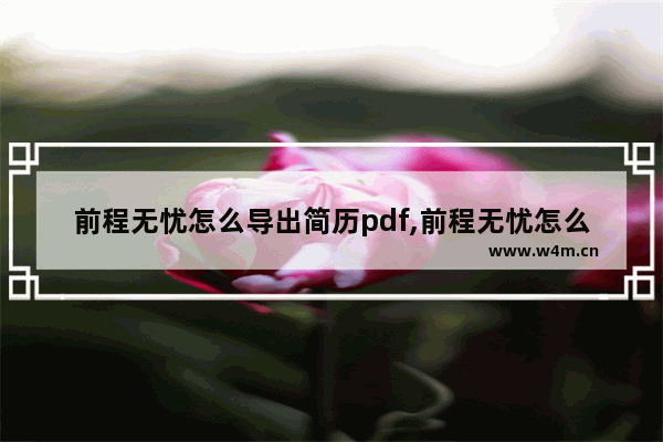 前程无忧怎么导出简历pdf,前程无忧怎么导出简历手机看不了