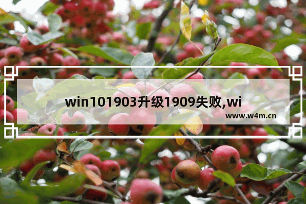 win101903升级1909失败,win10更新错误代码0x800f0922