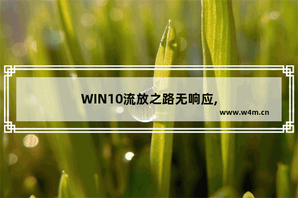 WIN10流放之路无响应,