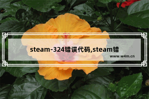 steam-324错误代码,steam错误代码E502L3