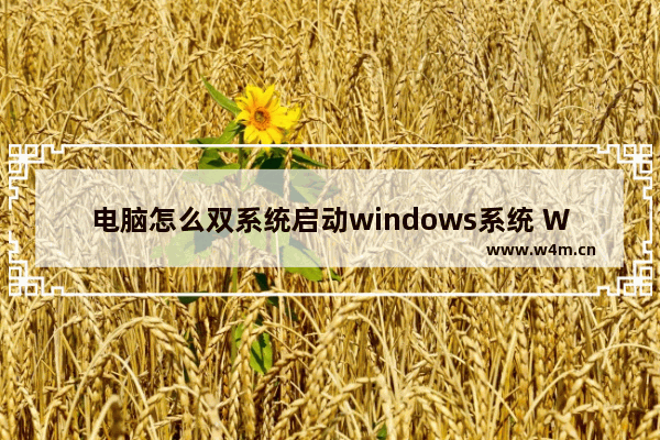 电脑怎么双系统启动windows系统 Win系统如何实现双系统启动