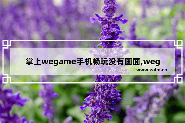 掌上wegame手机畅玩没有画面,wegame2.0手机畅玩