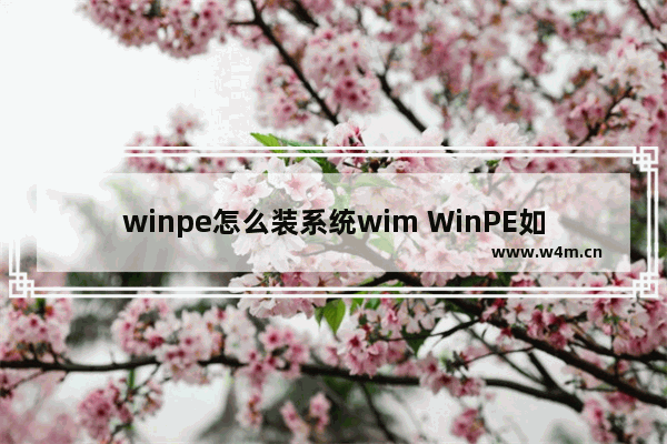 winpe怎么装系统wim WinPE如何通过WIM文件安装系统