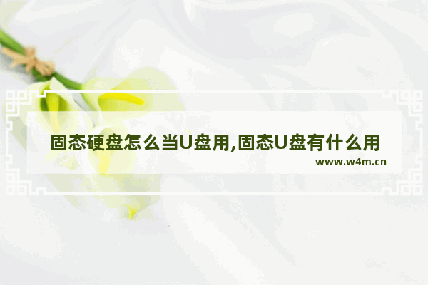 固态硬盘怎么当U盘用,固态U盘有什么用