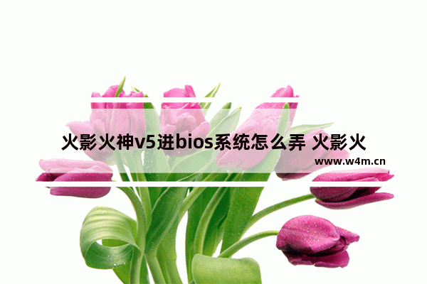 火影火神v5进bios系统怎么弄 火影火神v5如何进入BIOS系统