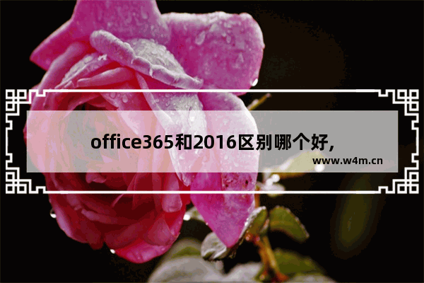 office365和2016区别哪个好,microsoft365和office2016区别