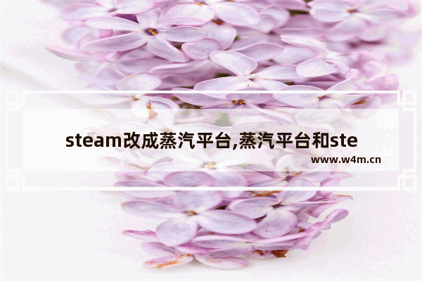 steam改成蒸汽平台,蒸汽平台和steam会合并吗