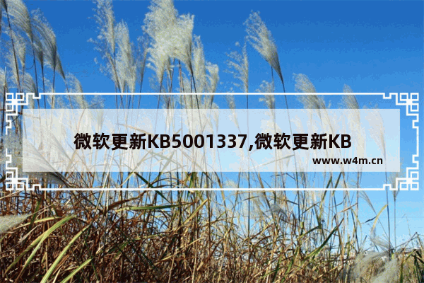 微软更新KB5001337,微软更新KB4474419