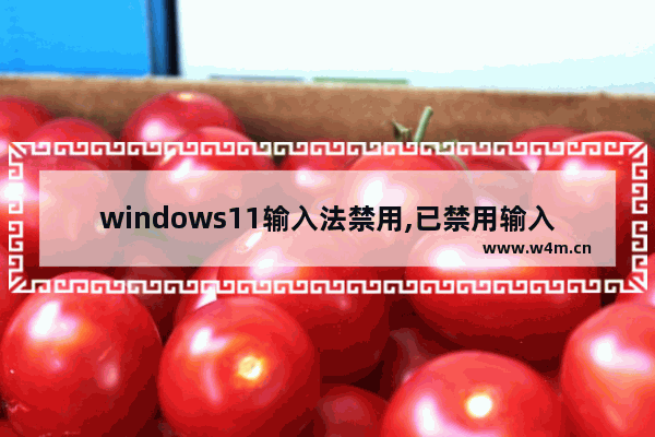 windows11输入法禁用,已禁用输入法怎么解决win10