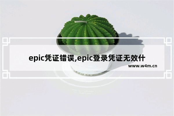 epic凭证错误,epic登录凭证无效什么意思