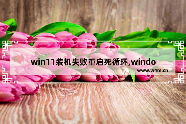 win11装机失败重启死循环,windows11死机