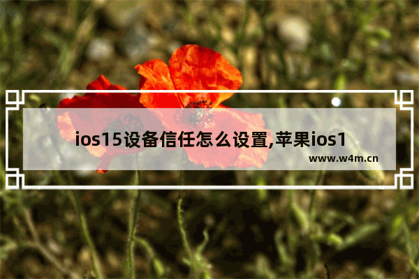 ios15设备信任怎么设置,苹果ios14信任软件怎么设置找不到设备管理