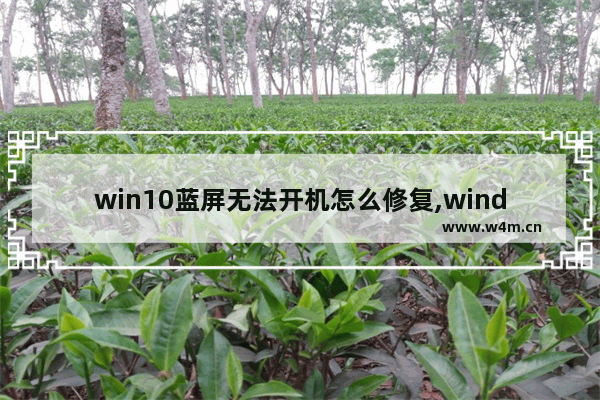 win10蓝屏无法开机怎么修复,window10系统出现蓝屏然后无法自动修复怎么办