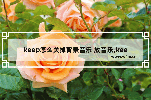 keep怎么关掉背景音乐 放音乐,keep如何关掉背景音乐