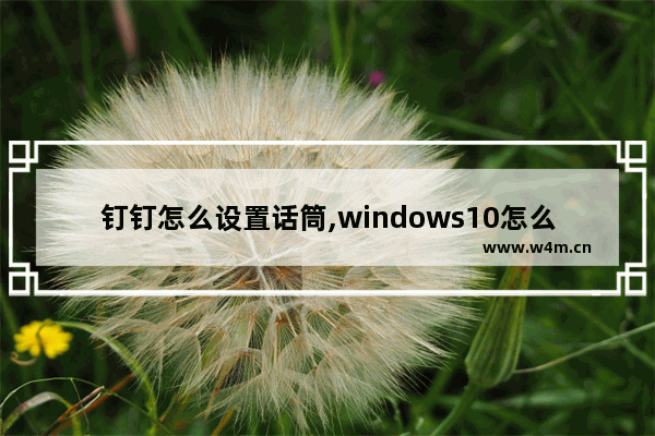 钉钉怎么设置话筒,windows10怎么设置话筒