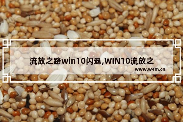 流放之路win10闪退,WIN10流放之路无响应