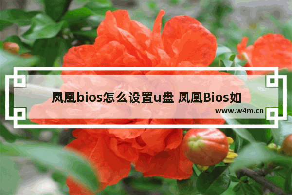 凤凰bios怎么设置u盘 凤凰Bios如何配置U盘