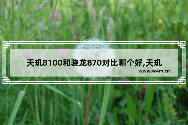 天玑8100和骁龙870对比哪个好,天玑8100和骁龙870对比站长之家