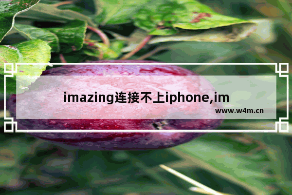 imazing连接不上iphone,imazing apple驱动器安装失败