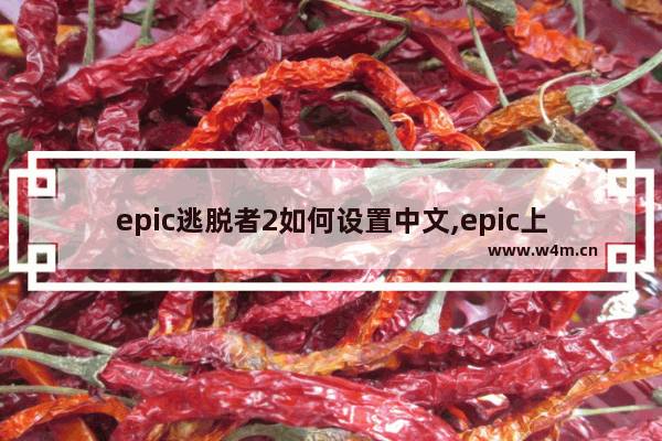 epic逃脱者2如何设置中文,epic上的逃脱者2怎么设置中文