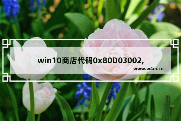 win10商店代码0x80D03002,微软商店错误0x80D02017