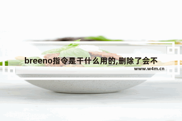 breeno指令是干什么用的,删除了会不会影响手机,breeno指令是干什么用的q